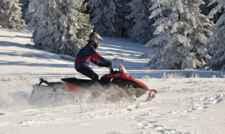 Michigan Snowmobiling