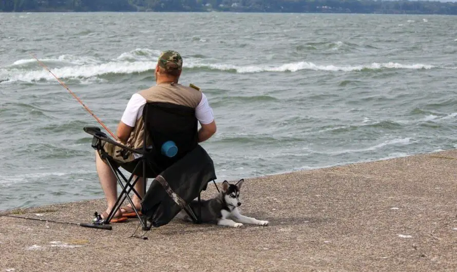 Michigan Weekly Fishing Report Shows Mixed Results Across the State