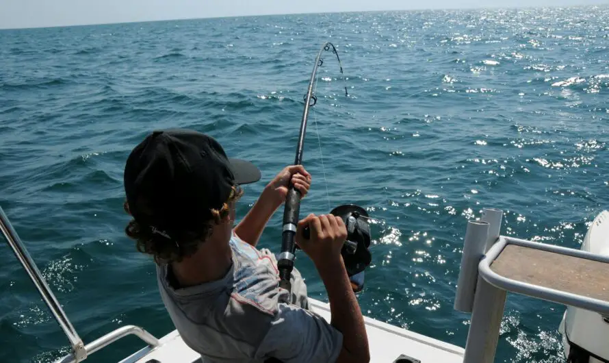 Michigan Weekly Fishing Report Highlights Late-Summer Hotspots and Tactics