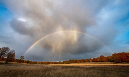 Pigeon River Rainbow