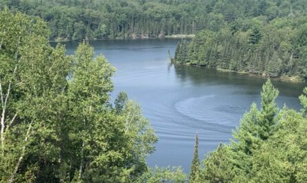 Au Sable View Above