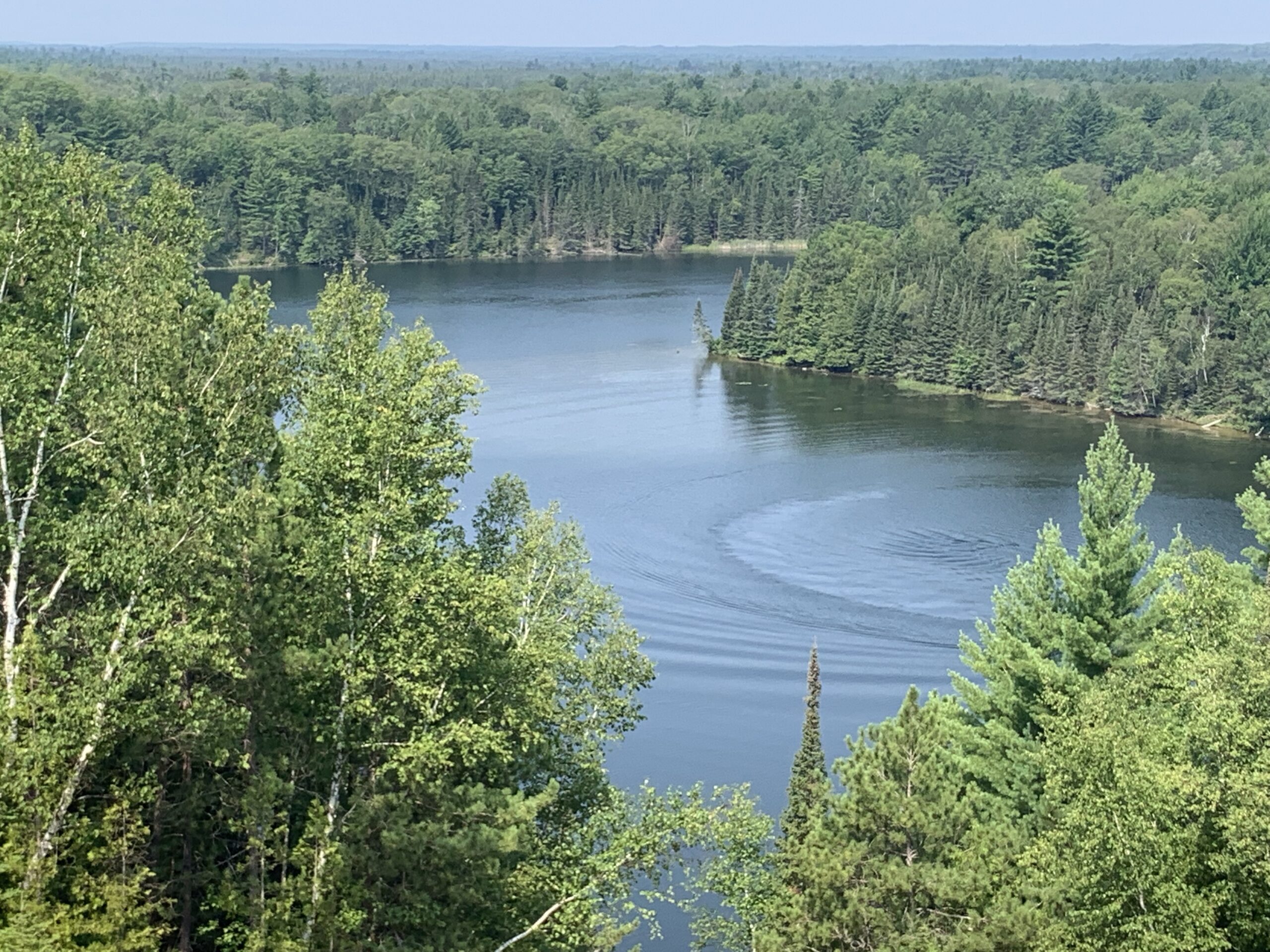 Au Sable View Above