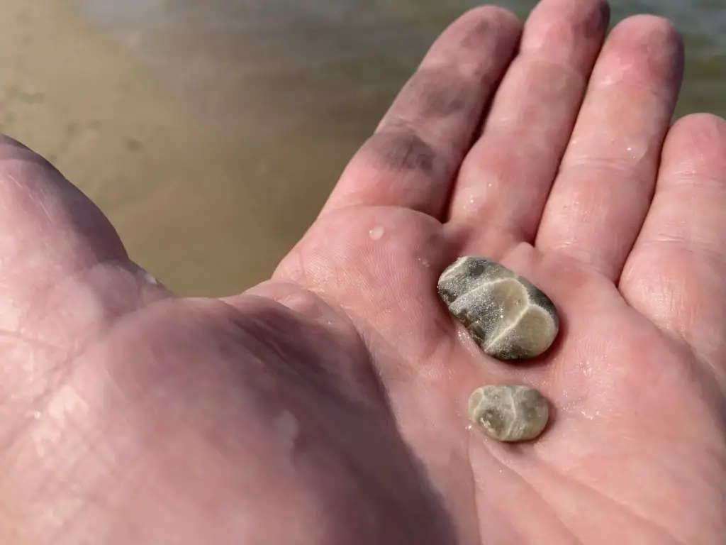 Saginaw Bay Beach Petoskey Stones