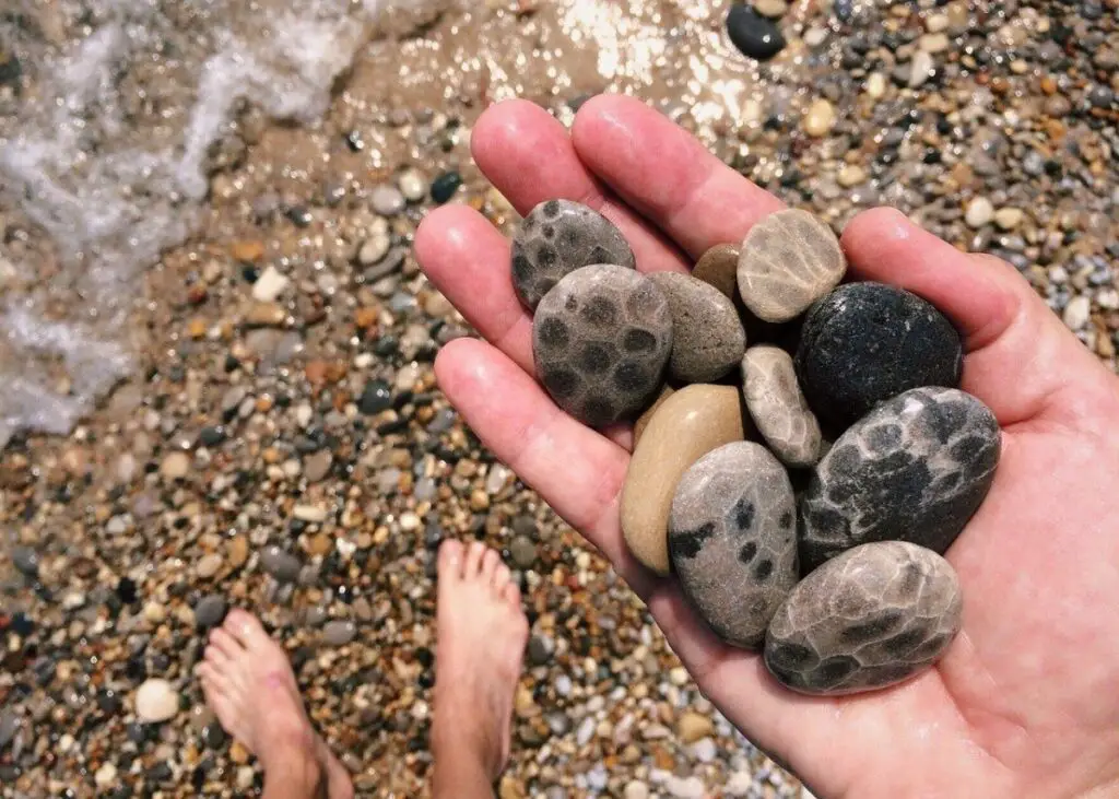 Petoskey Stones