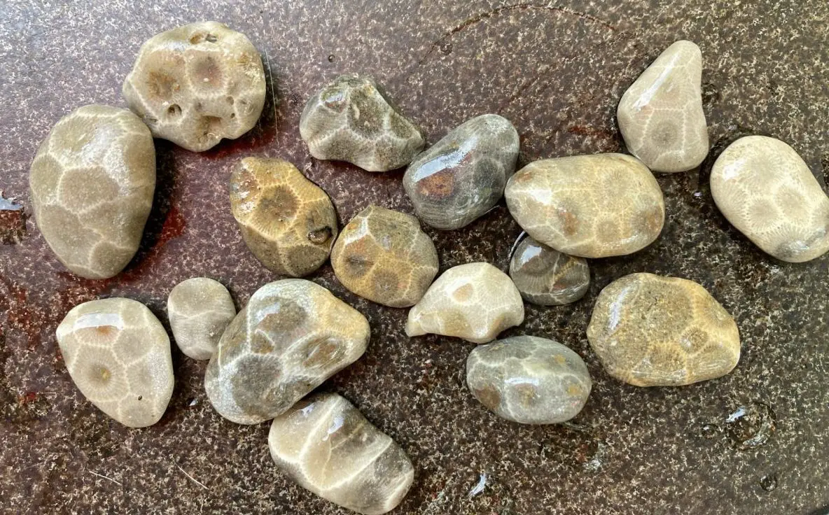 Discover How To Find Petoskey Stones On These 13 Magnificent Michigan Beaches