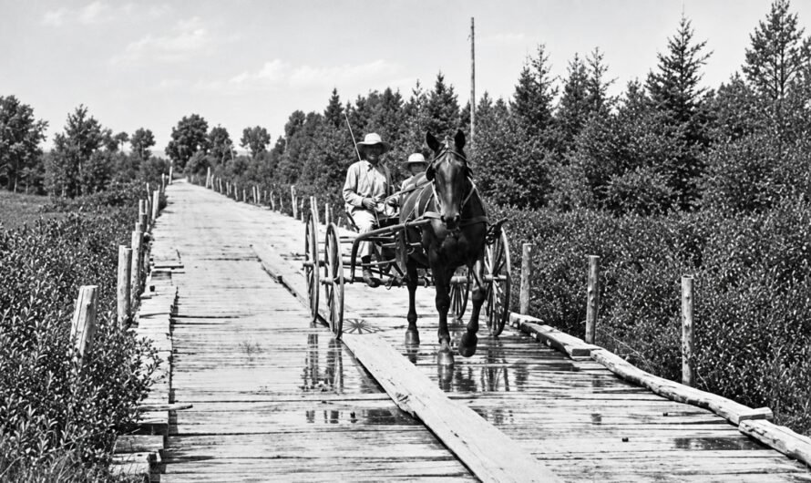 Michigan Plank Roads – Why the Wooden Highways Failed