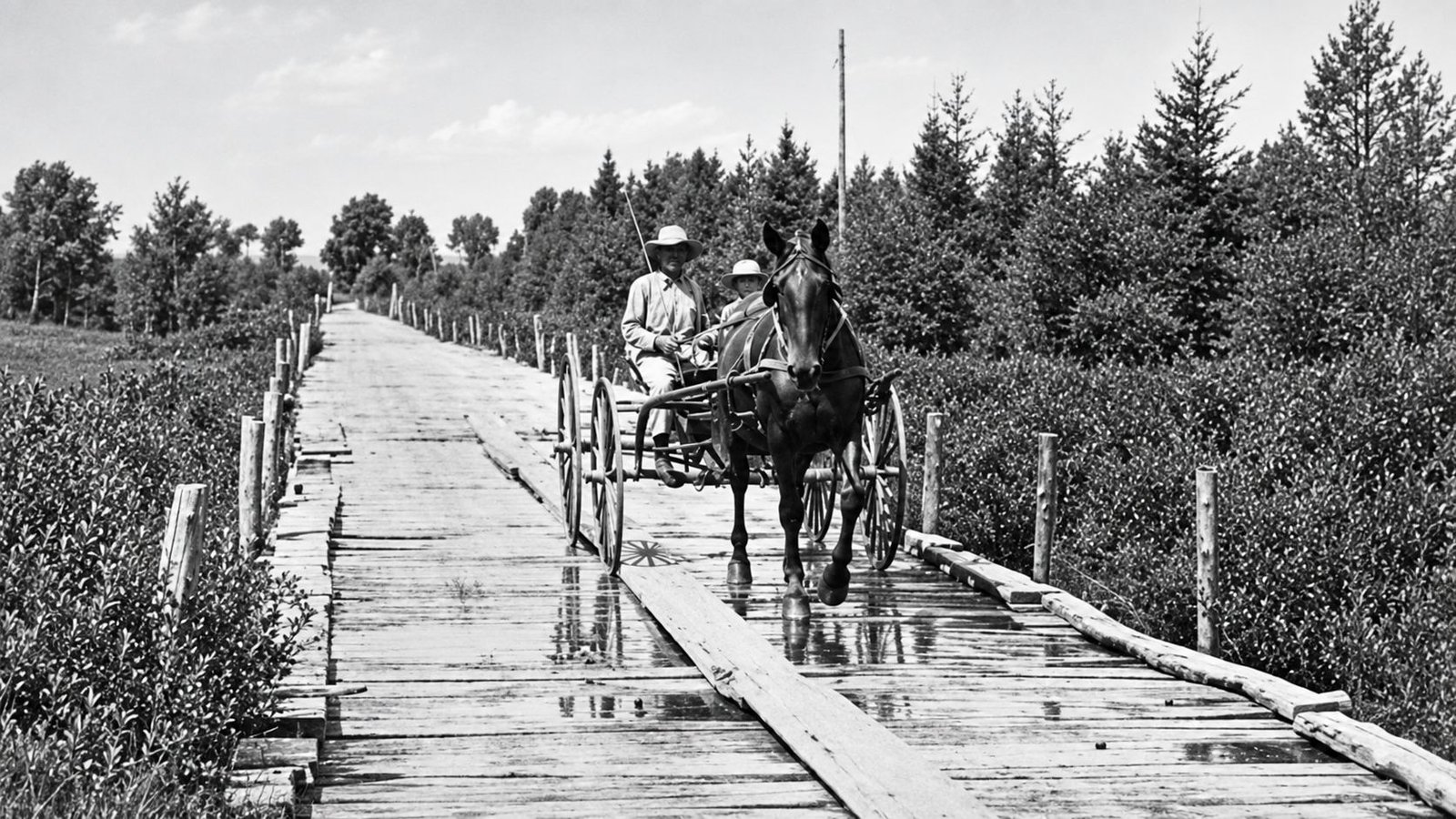A Buggy on A Michigan Plank Road - Restored Image