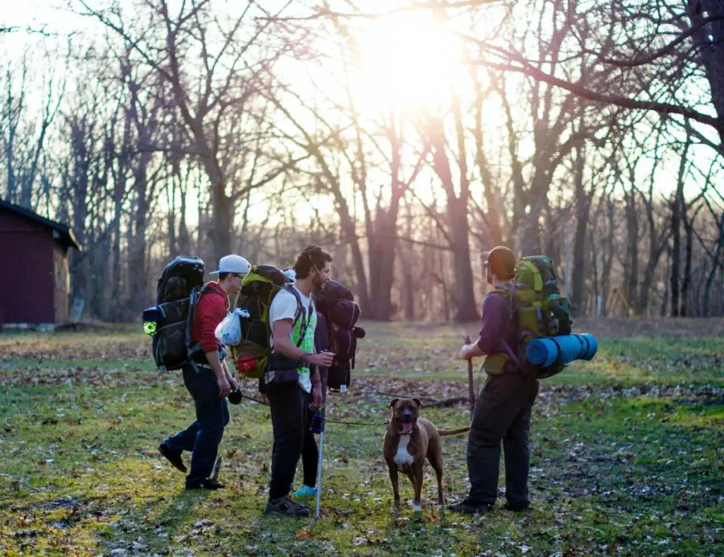 Hiking In Michigan - Proud Lake