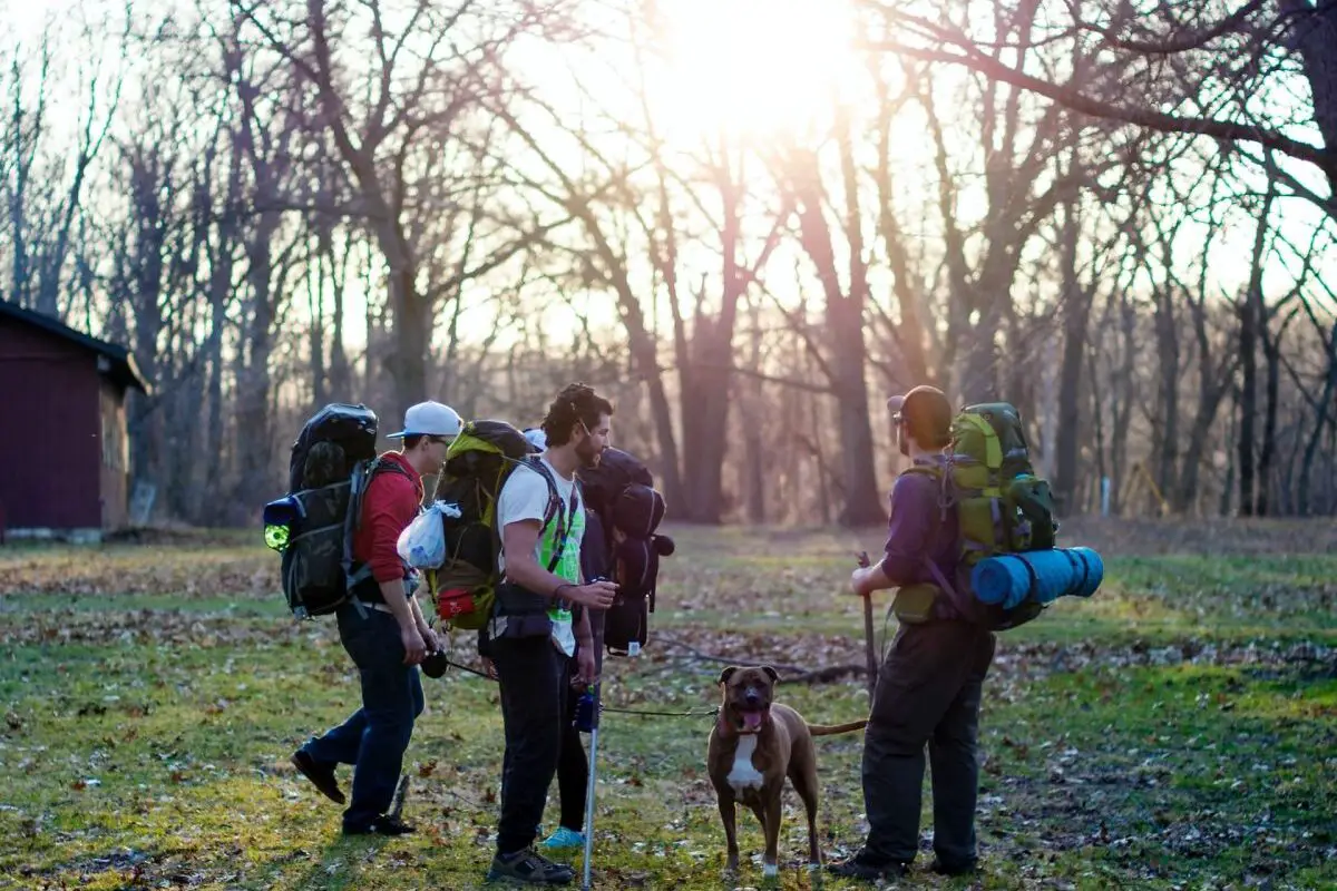 Hiking In Michigan - Proud Lake