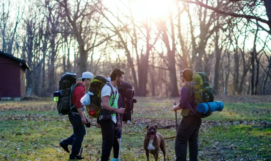 Badass Hiking in Michigan – 18 Outrageous Trails to Explore