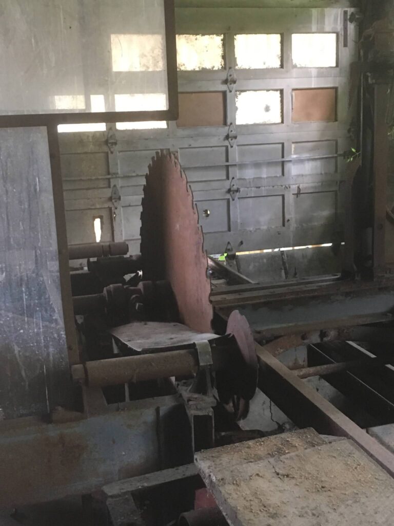 Saw - Belle Isle State Park