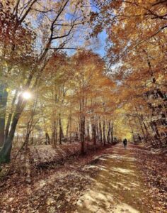 Kal-Haven Trail State Park