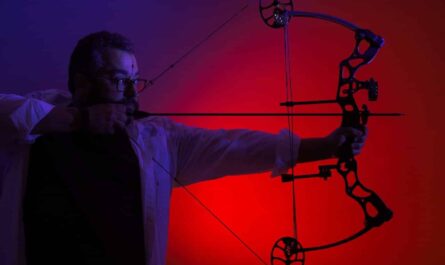 Compound Bow