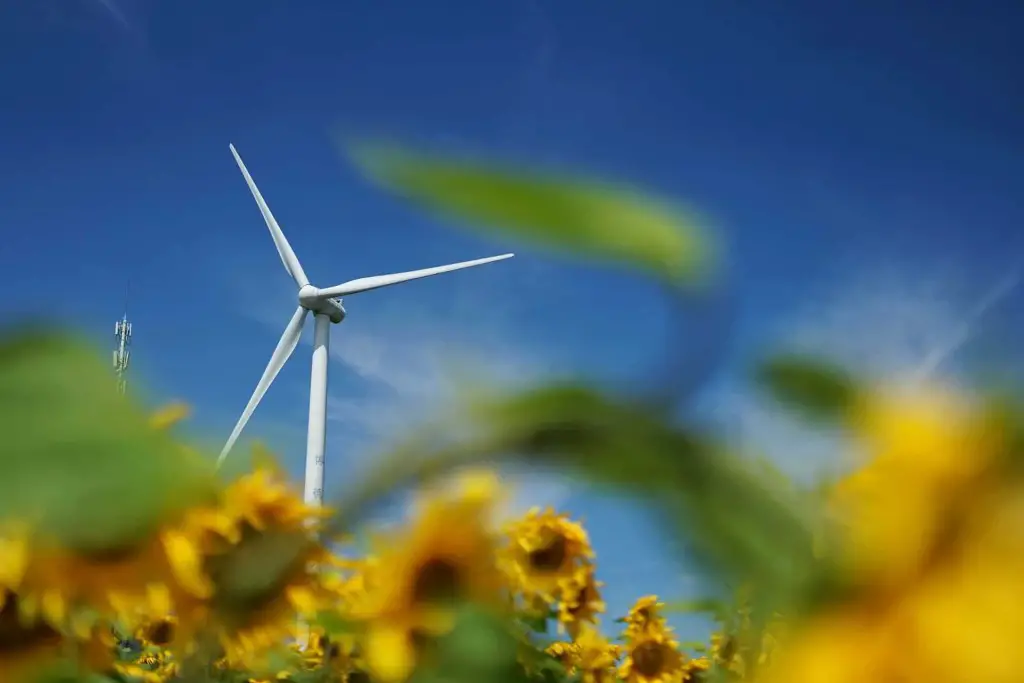 Wind Turbine in Flowers - Advantages of Wind Energy