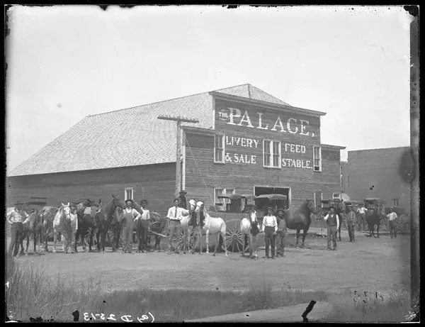 Horse Livery 1904