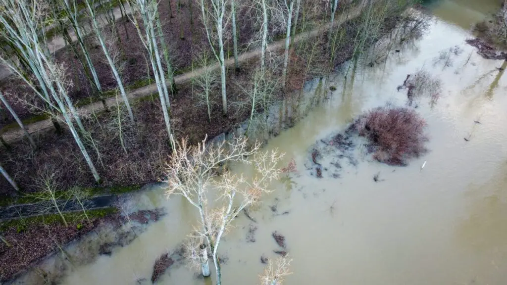 Flood - Climate Change in Michigan