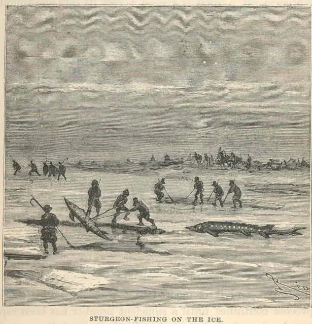 Sturgeon Fishing On Ice - Anishinaabeg History
