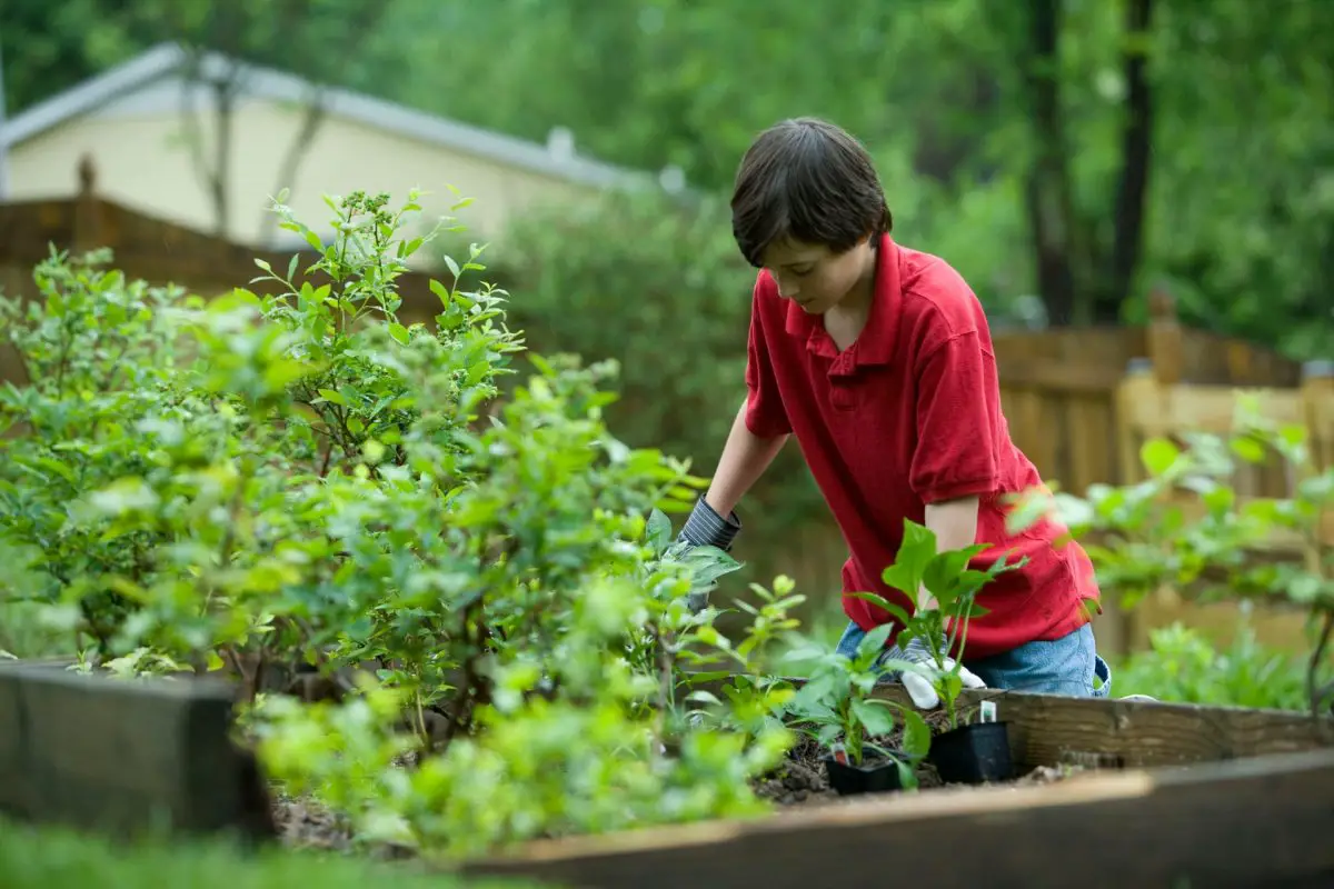 Green Living 101: Here’s How to Tend Your Garden Guilt-free and Help the Environment