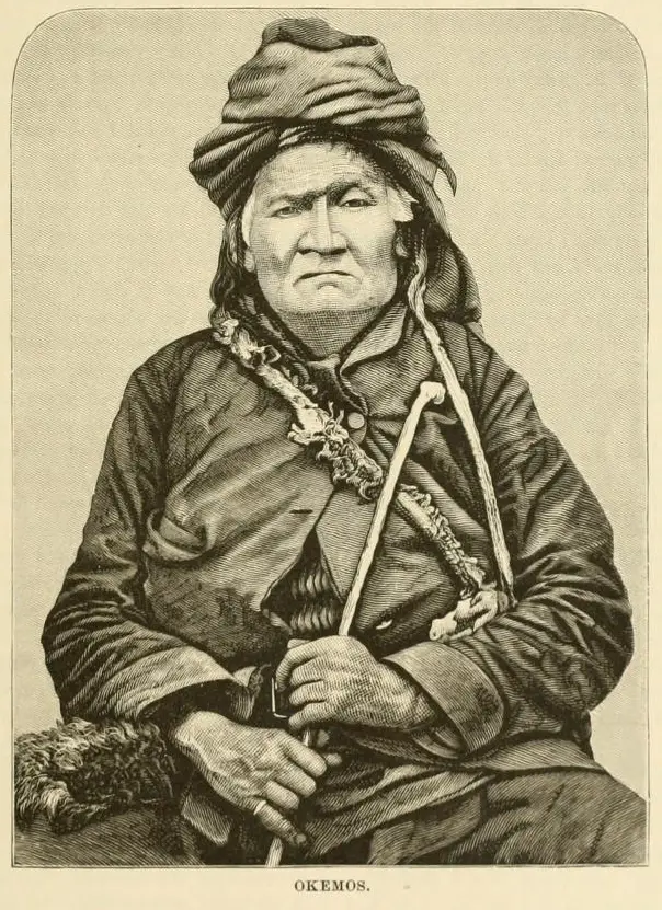 Chief Okemos - Anishinaabeg History