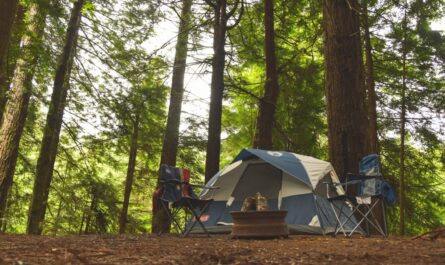 Camping At Houghton Lake Mi