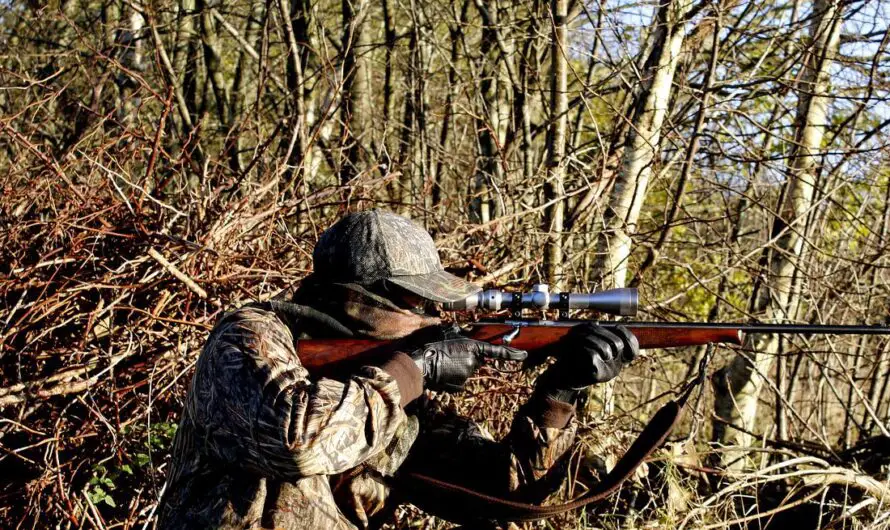 Deer Hunting Clothing – Top 7 Fail-proof Elements to Get Outfitted in 2023