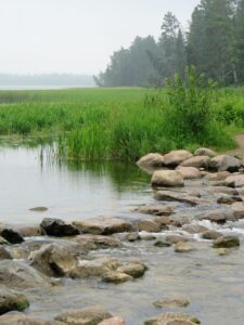 Mississippi headwaters at Itasca-State Park