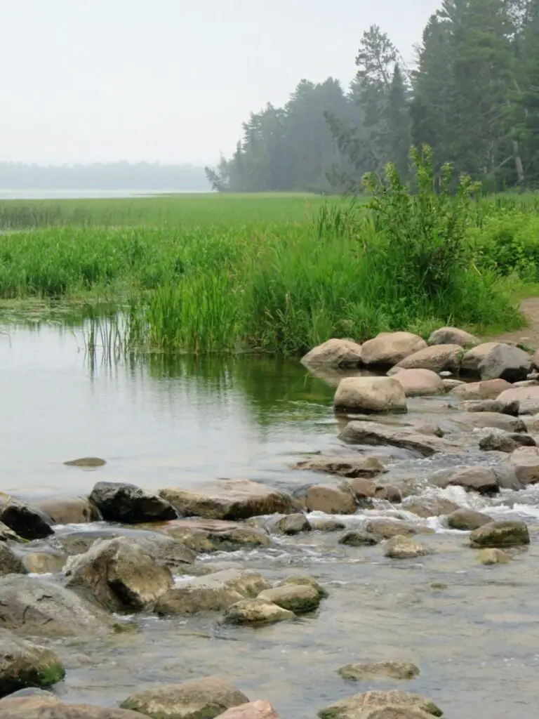 Mississippi headwaters at Itasca-State Park