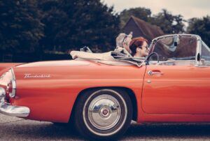 Summer Road Trips