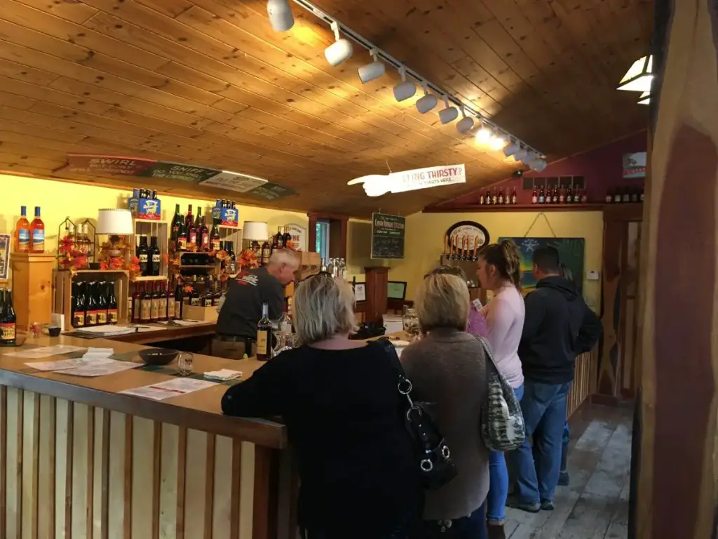 wine Tasting - Best Places To Visit In Michigan
