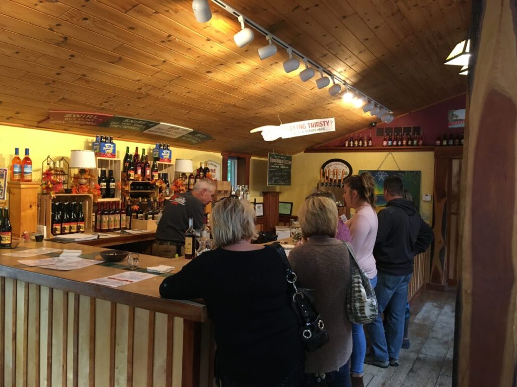 Wine Tasting Near Traverse City