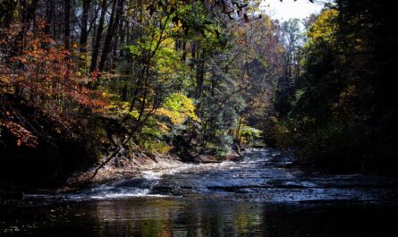 National Parks In The Midwest