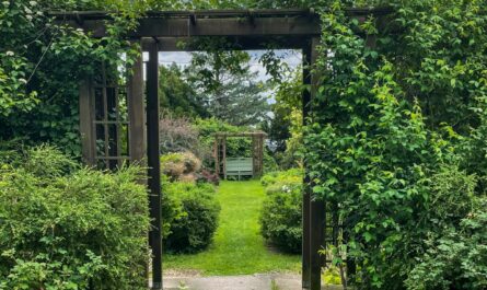 Cooley Gardens and Scott Sunken Gardens