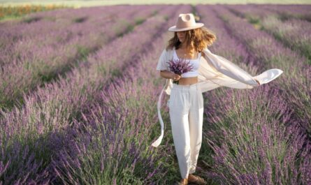 Lavender Farms in Michigan