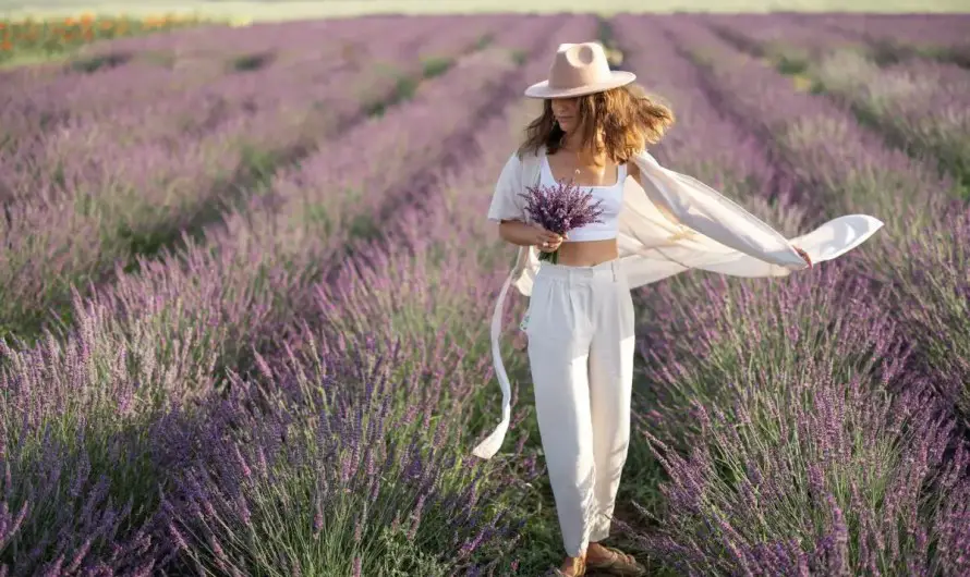 Michigan Lavender Farms – Find Color & Calm Among These 17