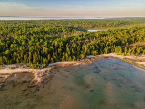 Forestry Management Technology