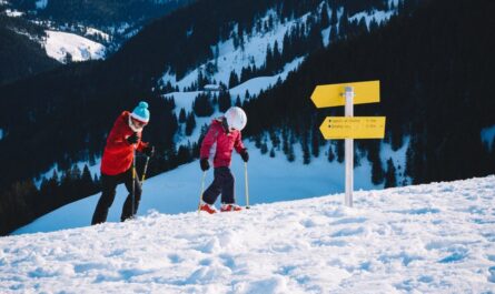 Ski resorts in france