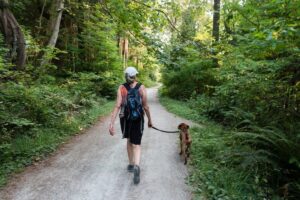 Walking Your Dog Outside
