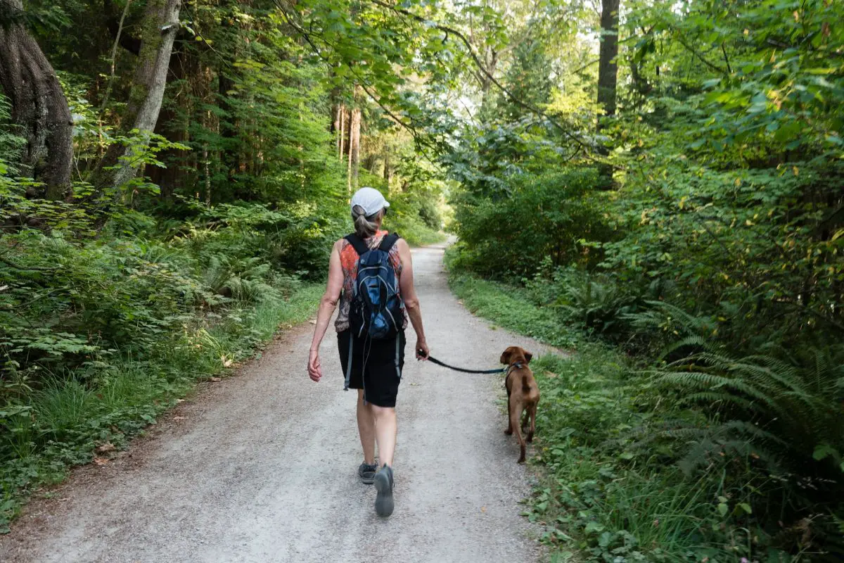 4 Mistakes To Avoid When Walking Your Dog
