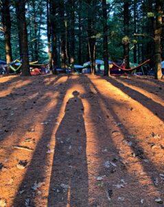 Wheatland Music Festival