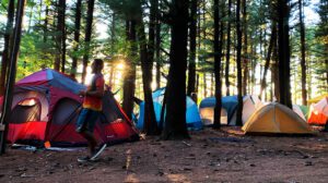 Wheatland Music Festival