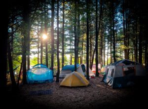 Wheatland Music Festival