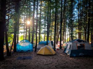 Wheatland Music Festival