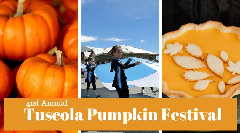 The Colorful Tuscola Pumpkin Festival – 2022