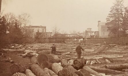 Lumbering Era in Caseville