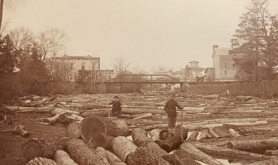 The Lumbering Era in Caseville, Michigan – River Hogs Conquer The Spring Log Run