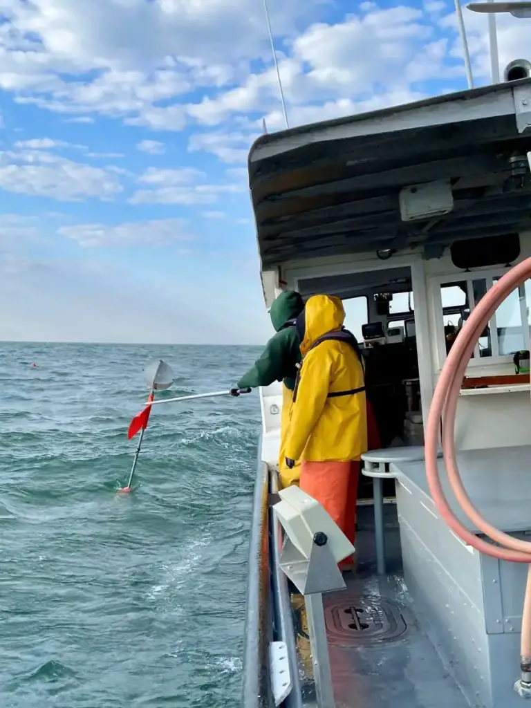 Lake Erie fisheries survey