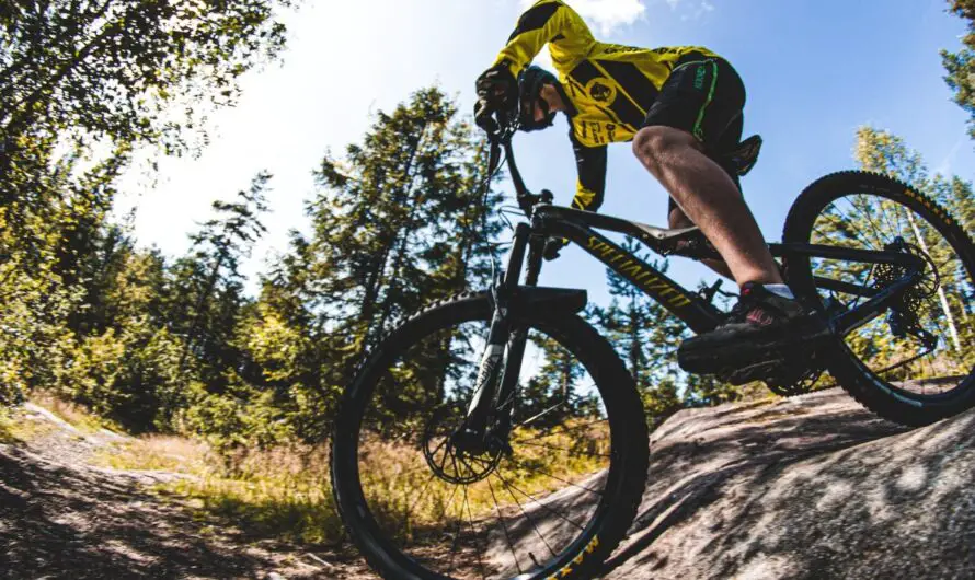 Essential Guide to Michigan Mountain Biking for Newbies – 5 Fundamental Tips