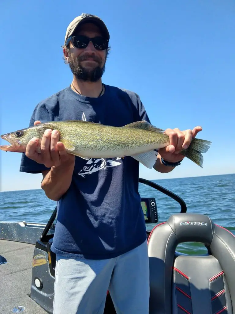 Michigan Walleye Season Change On Saginaw River & Saginaw Bay Started