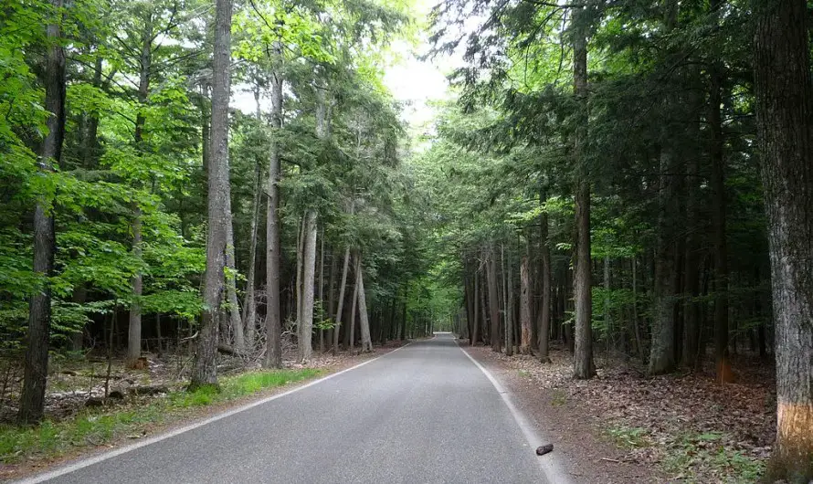 Michigan’s Tunnel Of Trees – A Kaleidoscope Of Colorful History