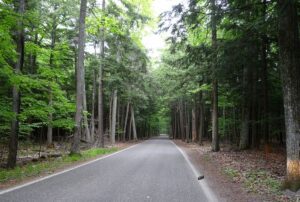 Tunnel of Trees Michigan